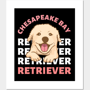 Chesapeake Bay retriever Cute Life is better with my dogs I love all the dogs Posters and Art